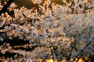 IMG_1691.jpg