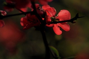 IMG_1617.jpg