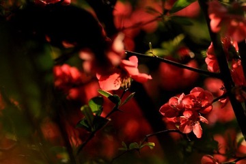 IMG_1618.jpg
