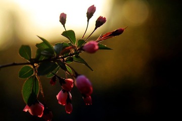 IMG_1637.jpg
