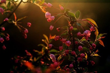 IMG_1656.jpg