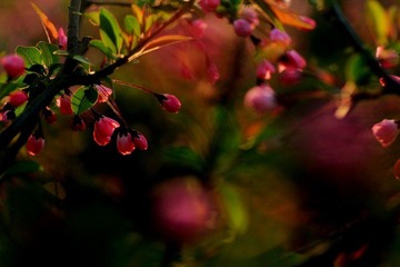IMG_1659.jpg