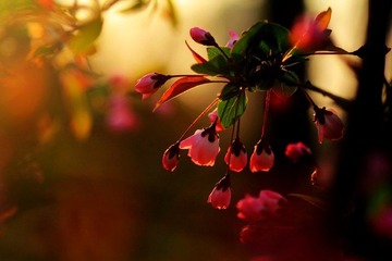 IMG_1661.jpg