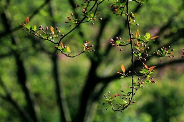 IMG_1537.jpg