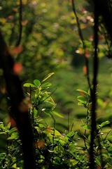 IMG_1538.jpg