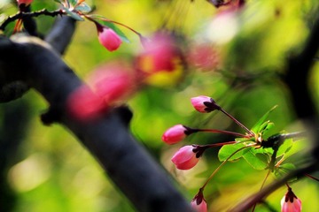 IMG_1546.jpg