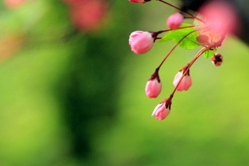 IMG_1547.jpg