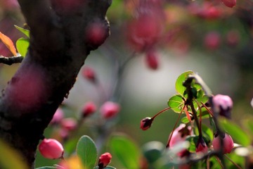 IMG_1549.jpg