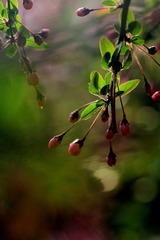 IMG_1554.jpg