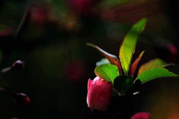 IMG_1560.jpg