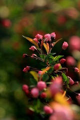 IMG_1562.jpg