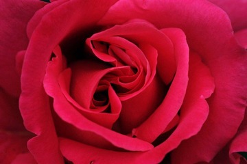IMG_6346.jpg