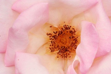 IMG_6377.jpg