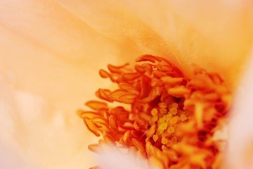 IMG_6439.jpg