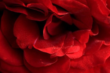 IMG_2620.jpg