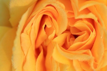 IMG_2859.jpg