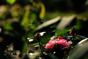 IMG_2702.jpg