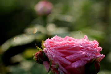 IMG_2881.jpg