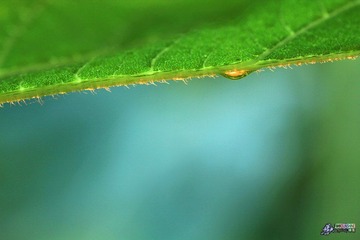 IMG_5289.jpg