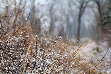 IMG_8269.jpg