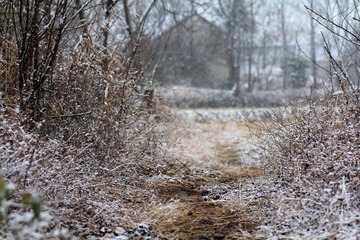 IMG_8271.jpg