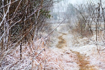 IMG_8275.jpg