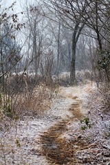 IMG_8268.jpg