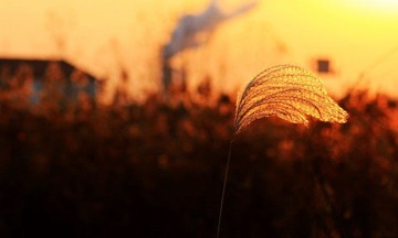 IMG_7656.jpg