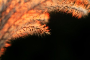 IMG_7675.jpg