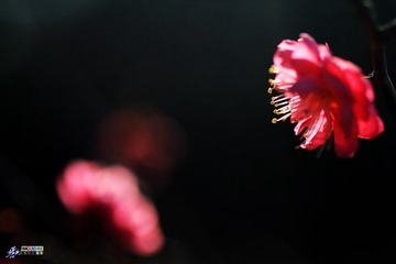 IMG_8473.jpg