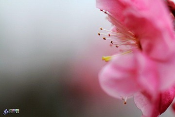 IMG_9433.jpg