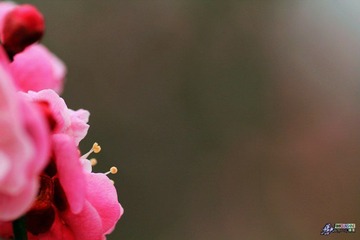 IMG_9440.jpg