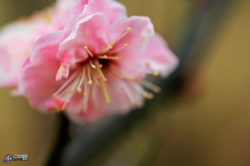 IMG_9461.jpg