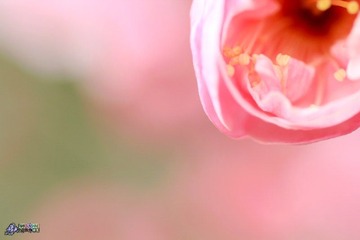 IMG_9478.jpg