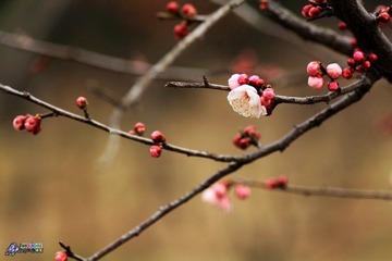 IMG_9304.jpg