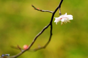 IMG_9353.jpg