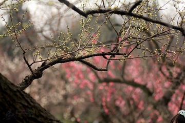 IMG_9764.jpg