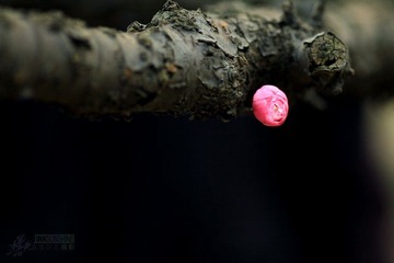 IMG_9807.jpg