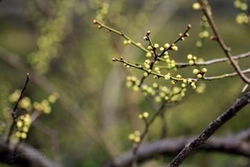 IMG_9845.jpg