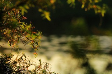 IMG_6871.jpg
