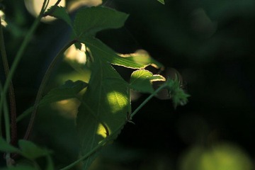 IMG_6893.jpg
