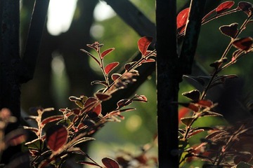 IMG_6939.jpg