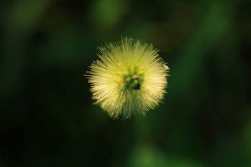IMG_6950.jpg