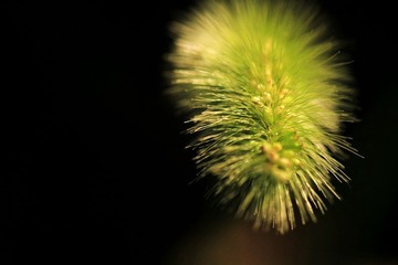 IMG_6967.jpg
