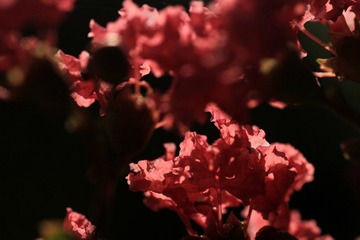 IMG_6969.jpg