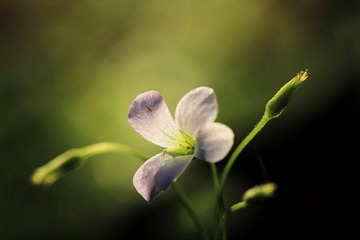 IMG_6990.jpg