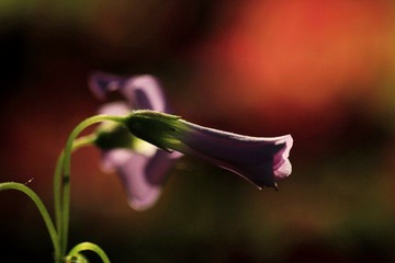 IMG_6992.jpg