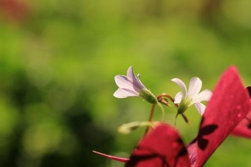 IMG_6995.jpg