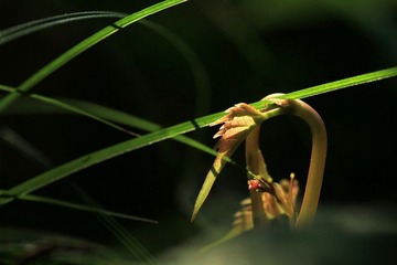 IMG_6999.jpg