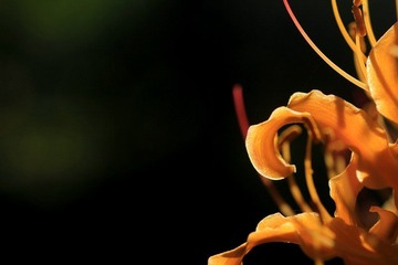 IMG_7008.jpg